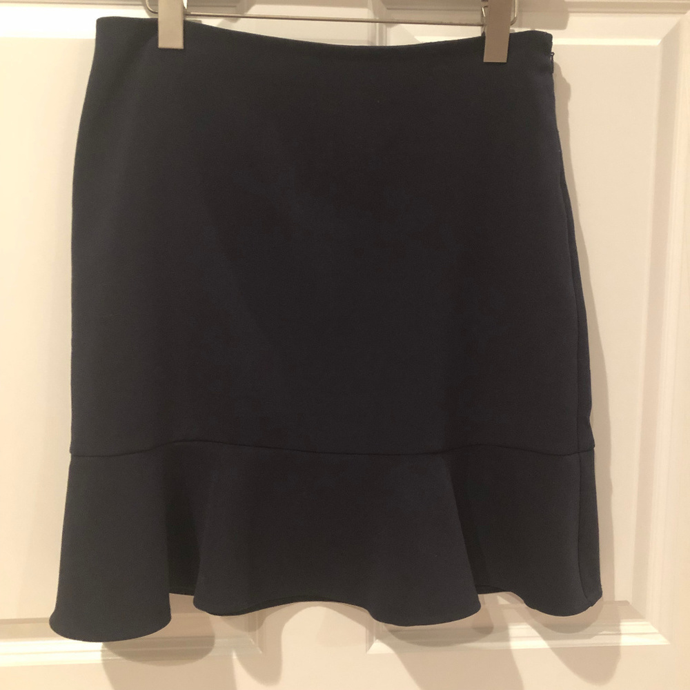 Ann Taylor Navy Skirt